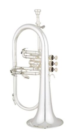 Eastman EFG521GS