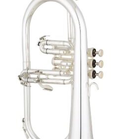 Eastman EFG521GS