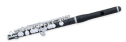 Pearl PFP-105E Piccolo