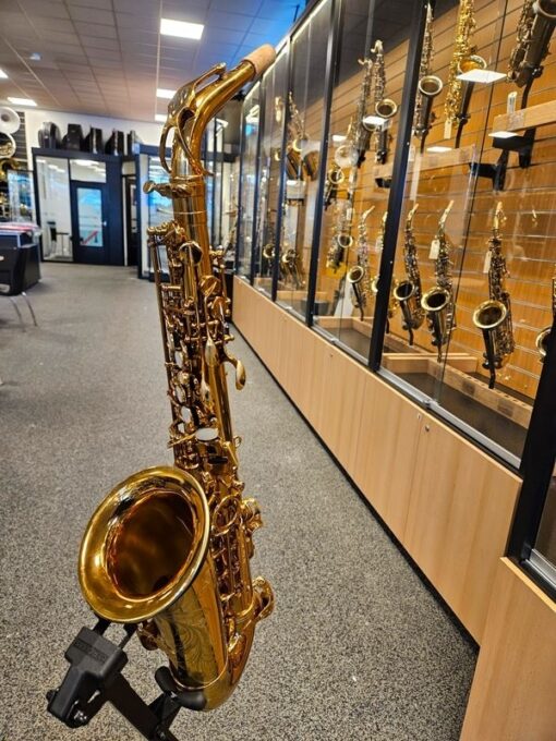 Selmer Reference 54 Altsax