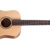 Taylor BT-1E Travel gitaar