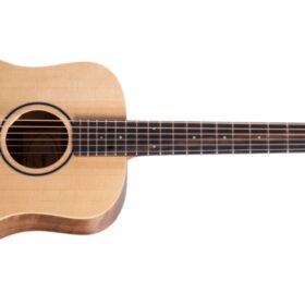 Taylor BT-1E Travel gitaar