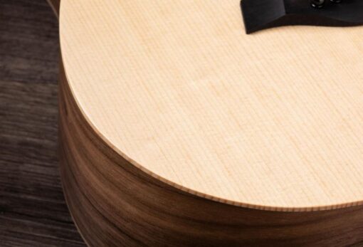 Taylor BT-1E Travel gitaar
