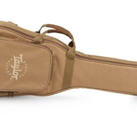 Taylor BT-1E Travel gitaar