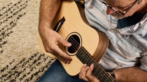 Taylor BT-1E Travel gitaar