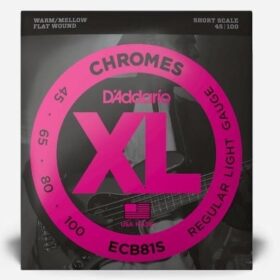 D'addario ECB81S Chromes