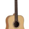 Bromo Appalachian Series Dreadnought
