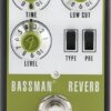 Fender Bassman Reverb