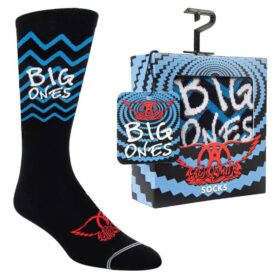 Perri's Aerosmith Sock Gift Box