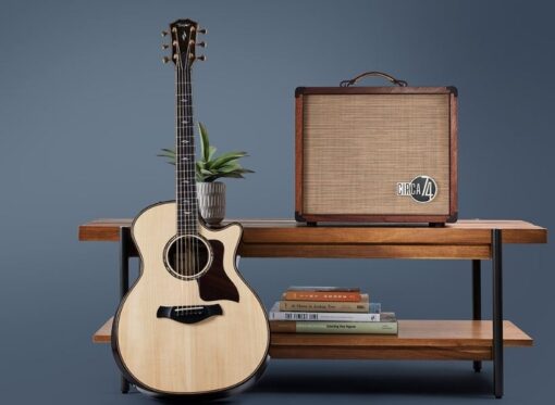 Taylor Circa 74 AV150-10