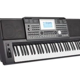 Medeli A810