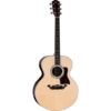 Taylor Legacy 815e