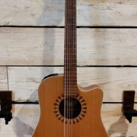Takamine EN12C-12