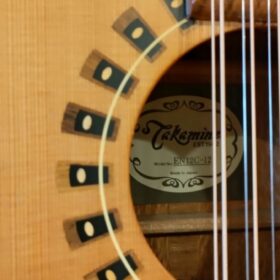 Takamine EN12C-12