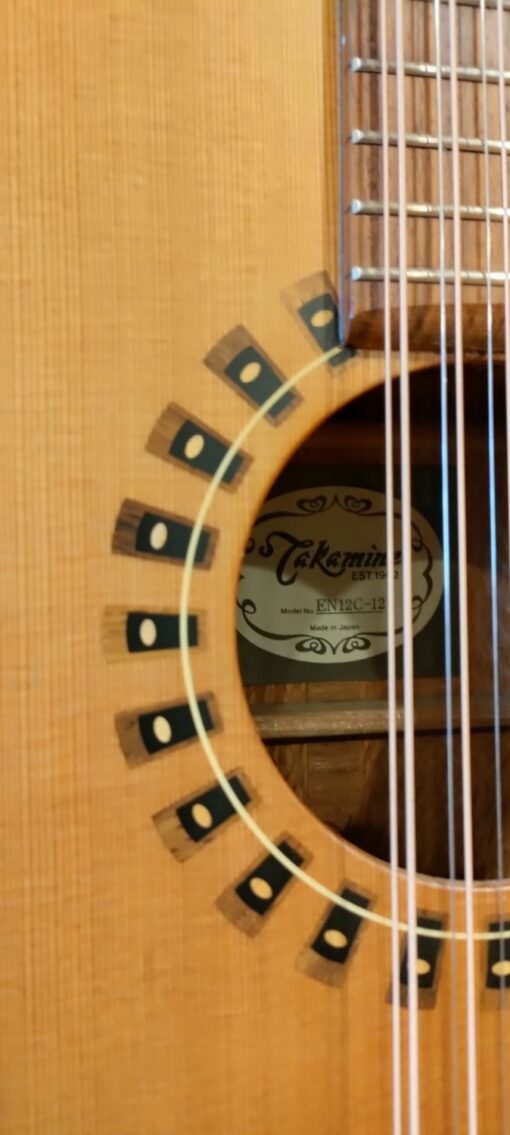 Takamine EN12C-12