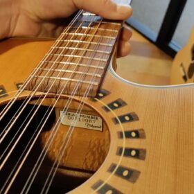 Takamine EN12C-12