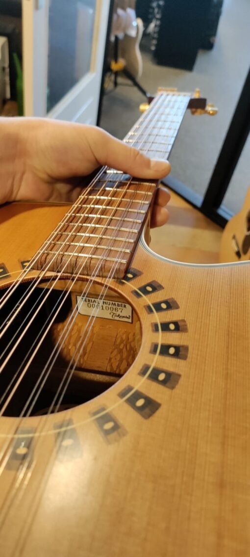 Takamine EN12C-12