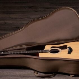 Taylor 210ce-Walnut