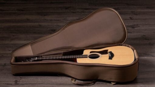 Taylor 210ce-Walnut