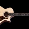 Taylor 314ce V- Class Bracing
