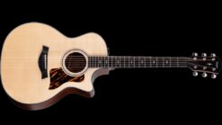Taylor 314ce V- Class Bracing