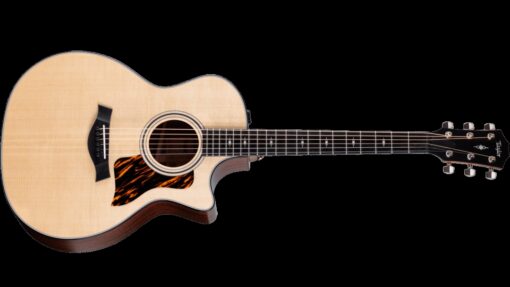 Taylor 314ce V- Class Bracing