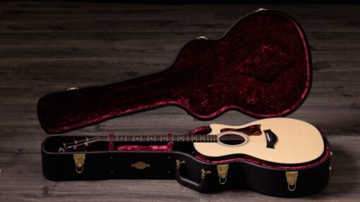 Taylor 314ce V- Class Bracing