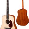 Eastman E1D