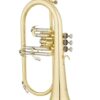 Eastman EFG421