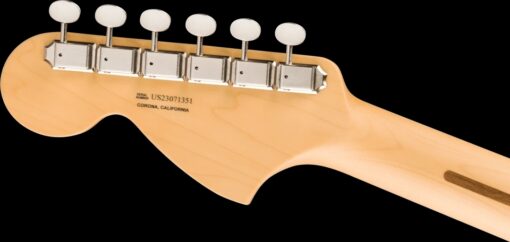 Fender Limited Edition American Performer Timber Stratocaster