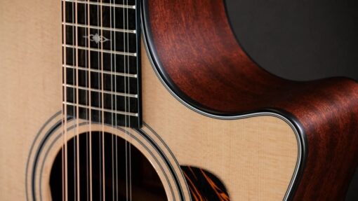 Taylor 354CE 12 string Natural