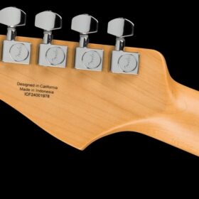 Fender Standard Stratocaster Candy Cola