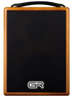 GR Guitar WDAC5
