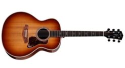 Taylor Gold Label 814e