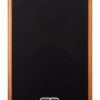 GR Guitar WDAC6
