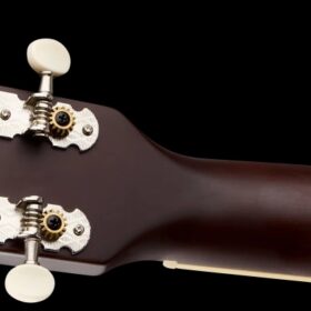 Gretsch Limited Edition Jim Dandy™ Concert Solid Top