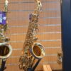 Hofmeister HAS 680 incl softcase