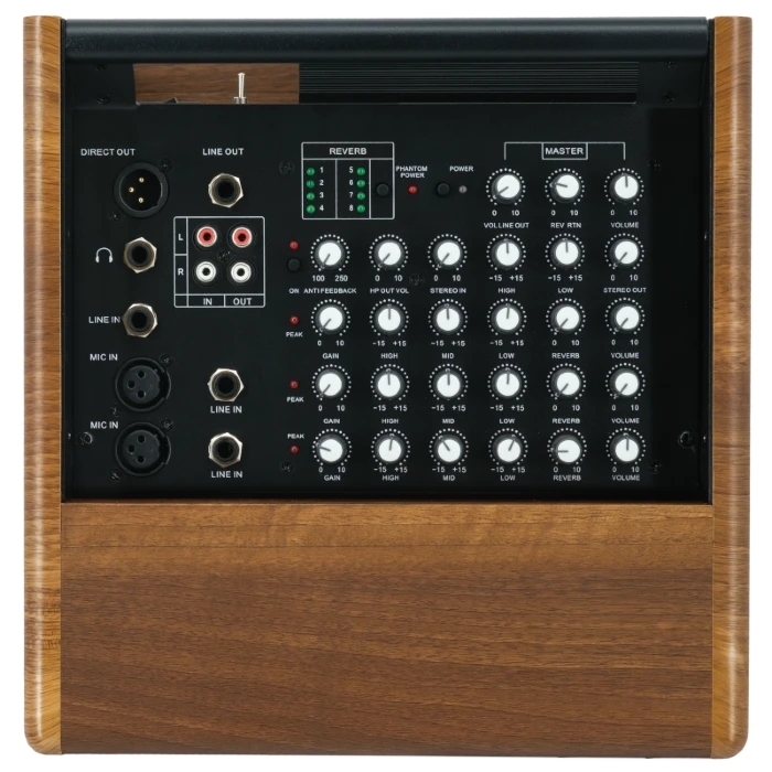 Prodipe Natural 6 V2 Walnut Wood