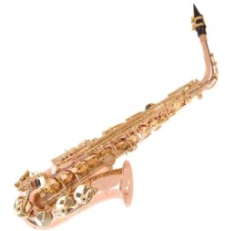 Odyssey Premiere Altsax OAS700