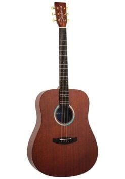 Tanglewood TE5BL Elemental