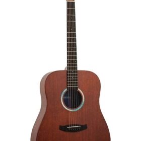 Tanglewood TE5BL Elemental