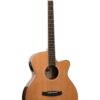 Tanglewood Winterleaf TW4 CE NA