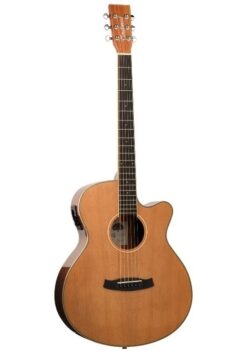 Tanglewood Winterleaf TW4 CE NA