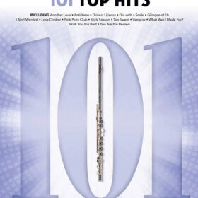 101 Top Hits Dwarsfluit