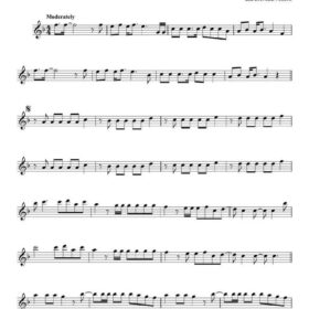 101 Top Hits Dwarsfluit