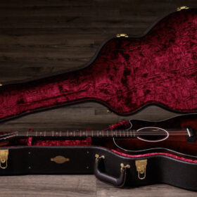 Taylor 324ce SEB Top Next Gen