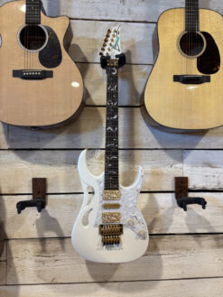 Ibanez PIA 3761 SLW Steve Vai Signature