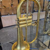 Eastman EFG422V