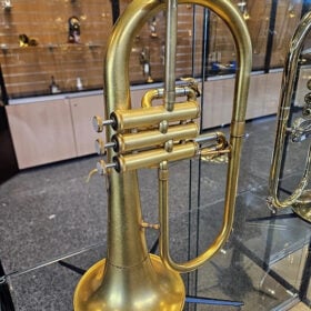 Eastman EFG422V