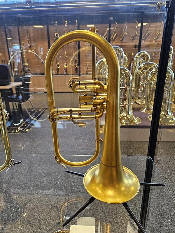 Eastman EFG422V
